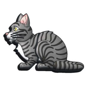 G-2017 Gato Común