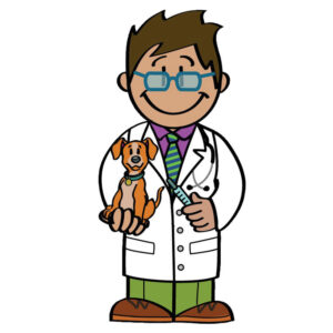 V-2070 Veterinario Chico