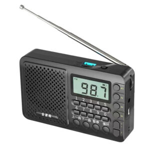 60252 RADIO DIGITAL